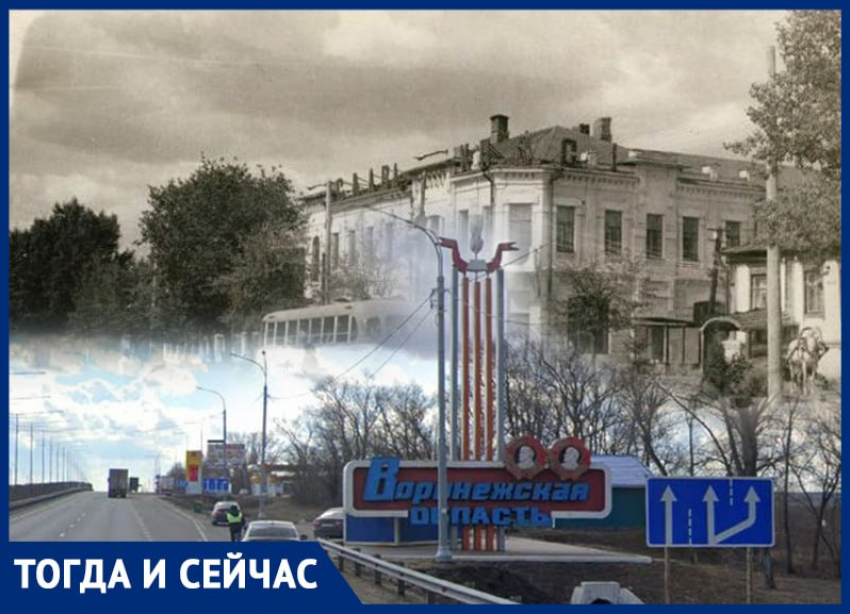 Как и когда появилась Воронежская область