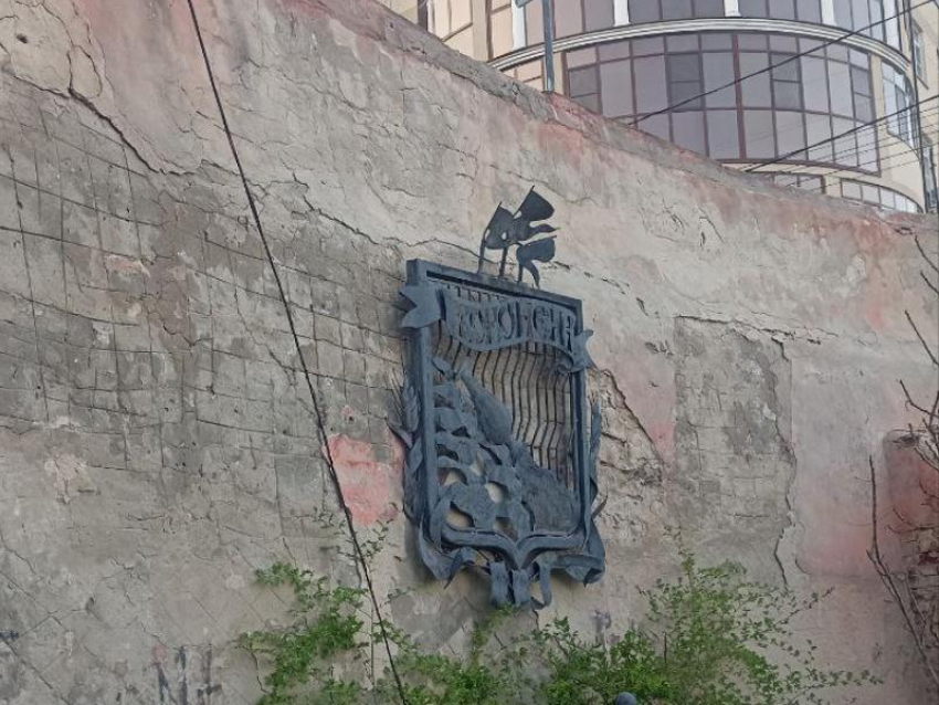 Неприглядное состояние спуска к Петровской набережной поразило воронежцев