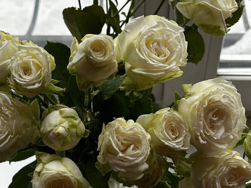 Без интима, но с букетом: необычную услугу предложили жительницам Воронежа на 8 марта