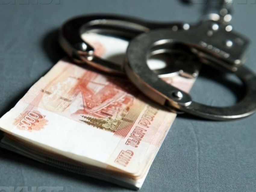 Заведующая, опустошившая бюджет детского сада в Воронежской области, отделалась штрафом 