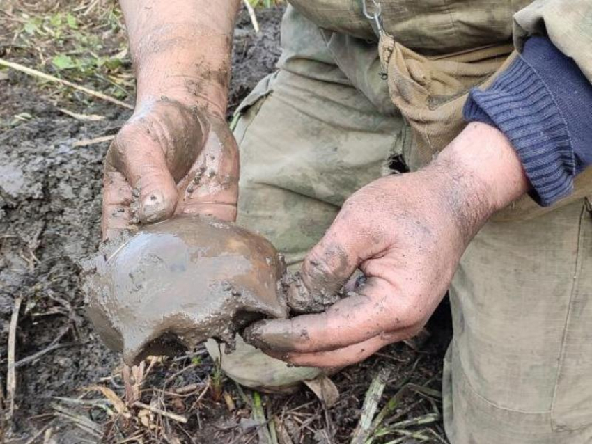 Останки пяти человек нашли в низине воронежской реки 