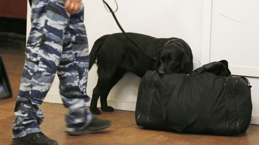 Спецслужбы эвакуировали посетителей воронежского ТЦ из-за подозрительной сумки