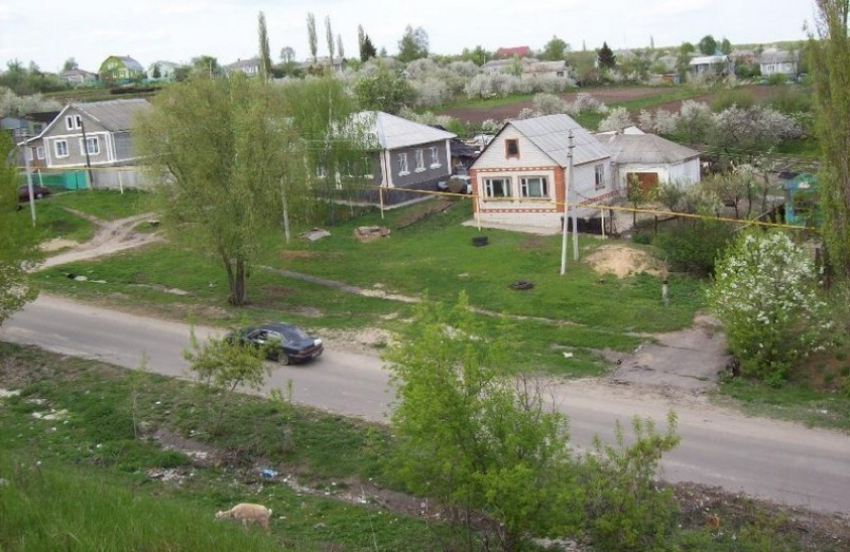 В Кантемировском районе жители села сами отремонтировали дорогу