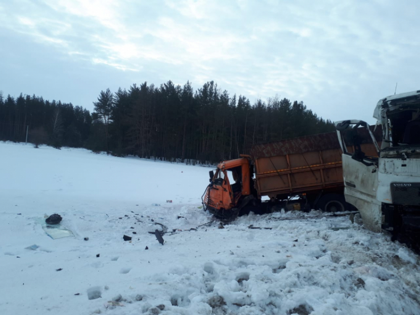 Последствия смертельного лобового ДТП с грузовиками показали в Воронежской области