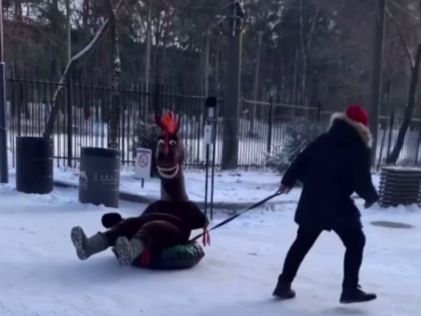 Мальчика, катающего лошадь на «ватрушке", засняли на видео в воронежском парке