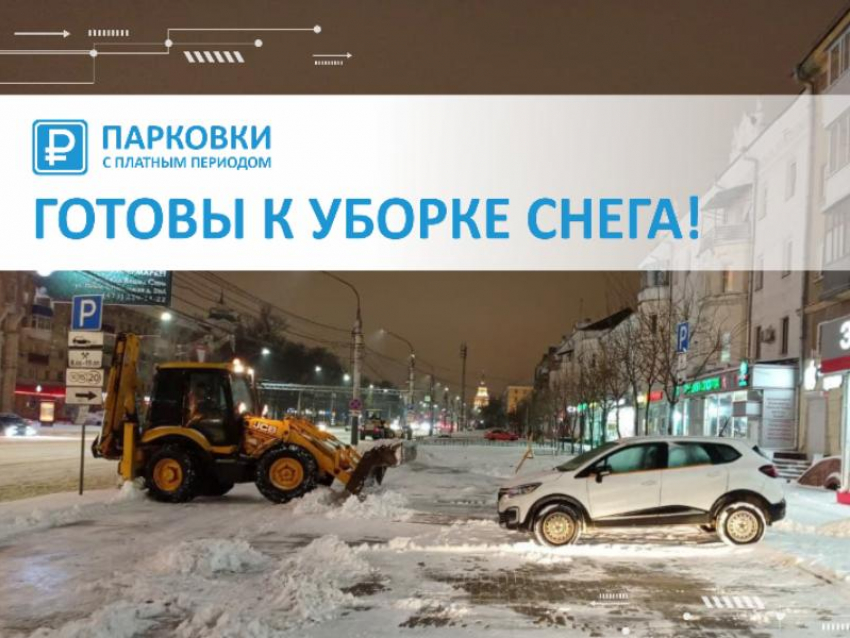 Воронежцы утопили «Горпарковки» неудобными вопросами в отместку за снег