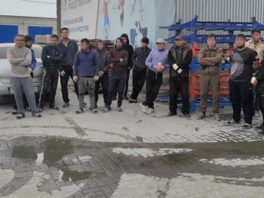 Резкий рост мигрантов зафиксировали в Воронежской области