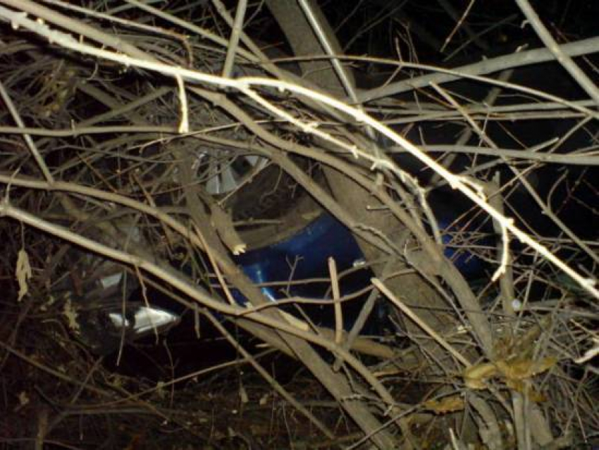 В Воронежской области «Тойота» врезалась в дерево и перевернулась