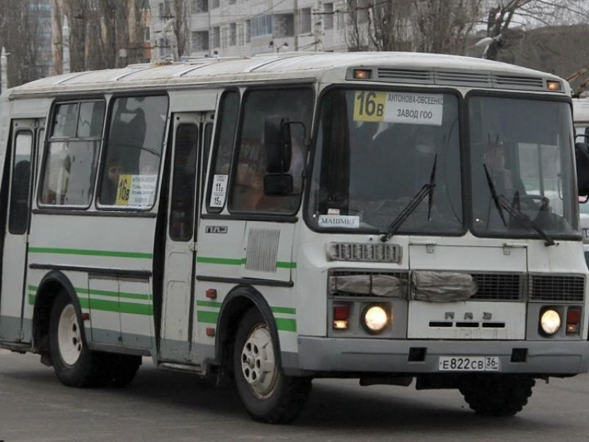 Чиновник мэрии объяснил, почему в Воронеже не обновляются маршрутки
