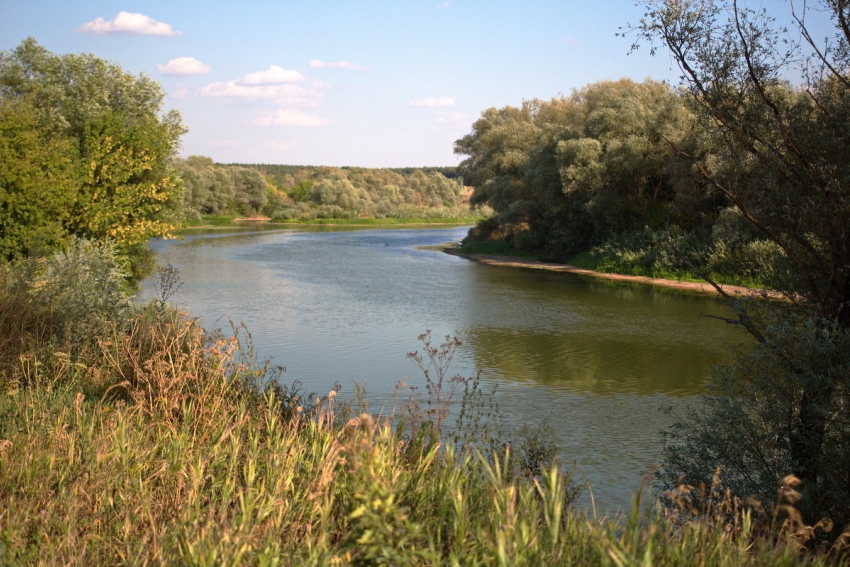 Русло реки Воронеж экологически реабилитируют за 16,8 млн рублей