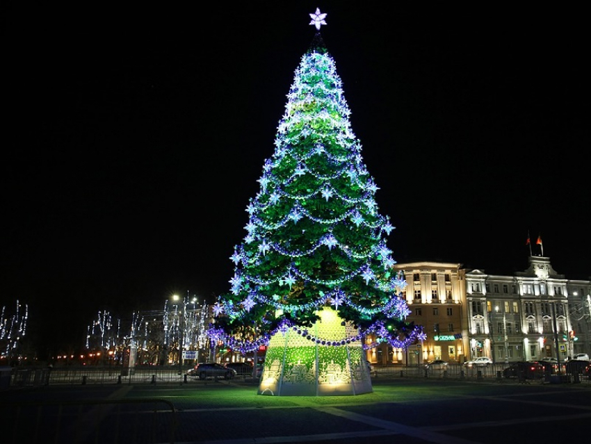 Главная новогодняя елка зажглась на площади Ленина в Воронеже 