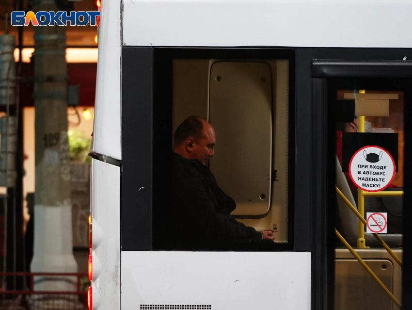 Два новых маршрута для автобусов и троллейбусов начали работу в Воронеже