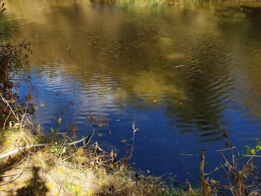 Двое мужчин утонули в Воронежской области за последние сутки 