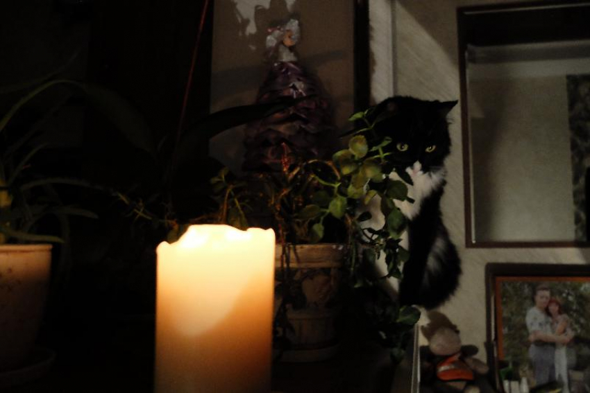 Опубликован график отключений электроэнергии в Воронежской области 