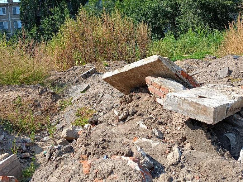 Ветки цепляют волосы:"грязная проблемка» угрожает воронежцам