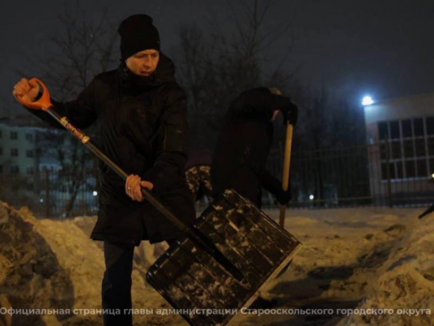 Мэр вышел чистить снег лопатой, но это случилось не в Воронеже