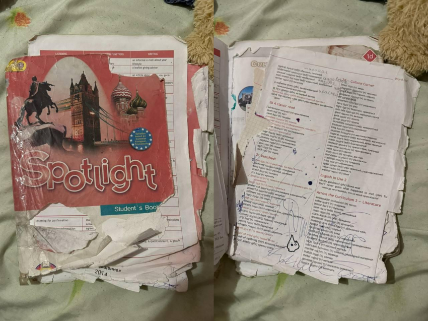 Автора фото с разодранным учебником пригласили к директору в Воронеже