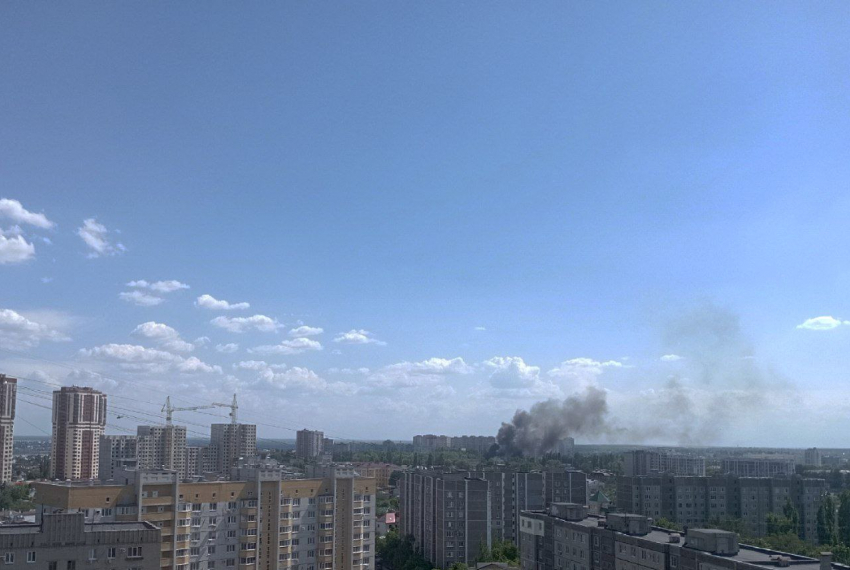 Поджог тополиного пуха мог стать причиной череды пожаров в Воронеже