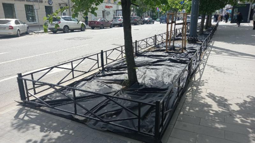 Новые клумбы в Воронеже сравнили с могильными оградками