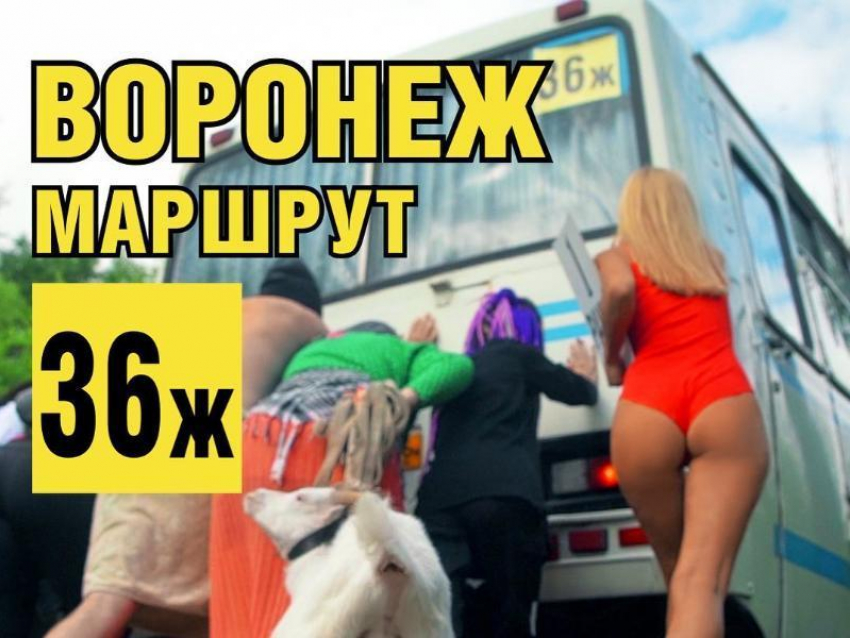 Стереотипы о маршрутках искрометно высмеяли в Воронеже