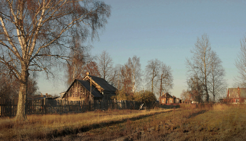 Воронежским селянам из федерального бюджета выделят 2 млрд. рублей
