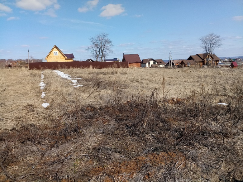 Специалисты подсчитали среднюю стоимость земельных участков в Воронежской области