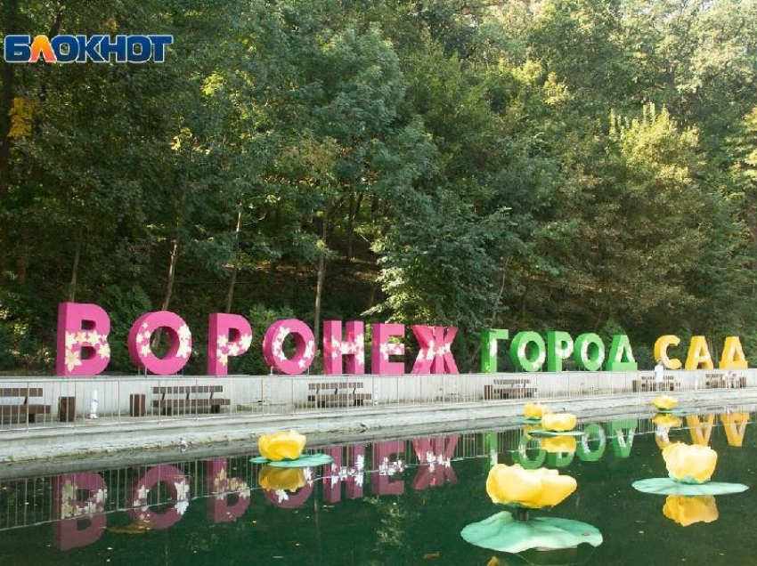 До 300 охранников будут следить за порядком на фестивале «Город-Сад» в Воронеже 