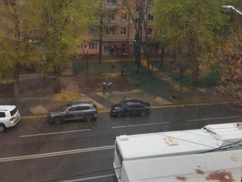 «Они реально красят землю?»: воронежцев удивила новая технология благоустройства 