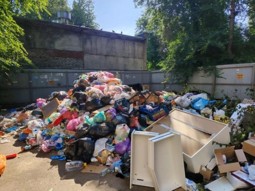 «Нишевая» гора мусора почти неделю маринуется во дворе воронежской пятиэтажки