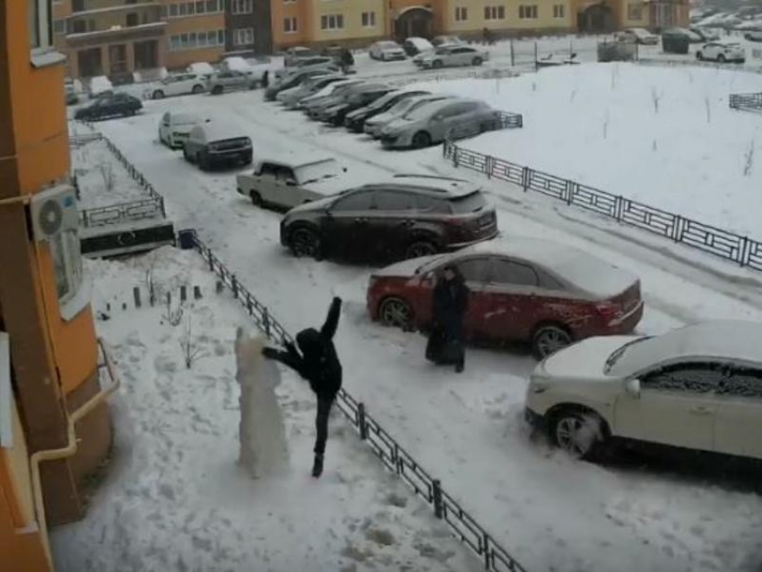 Жестокая расправа над снежным Есениным попала на видео в Воронеже