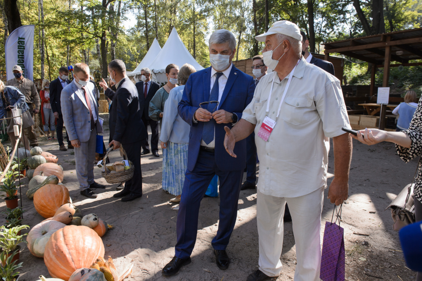 Чиновники назвали причину секвестра бюджета фестиваля «Город-сад» в Воронеже