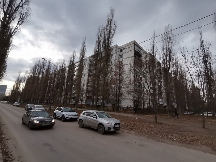 «Не ступала нога сантехника»: плесень, насекомые и зловонные озера взяли в заложники многоэтажку в Воронеже 