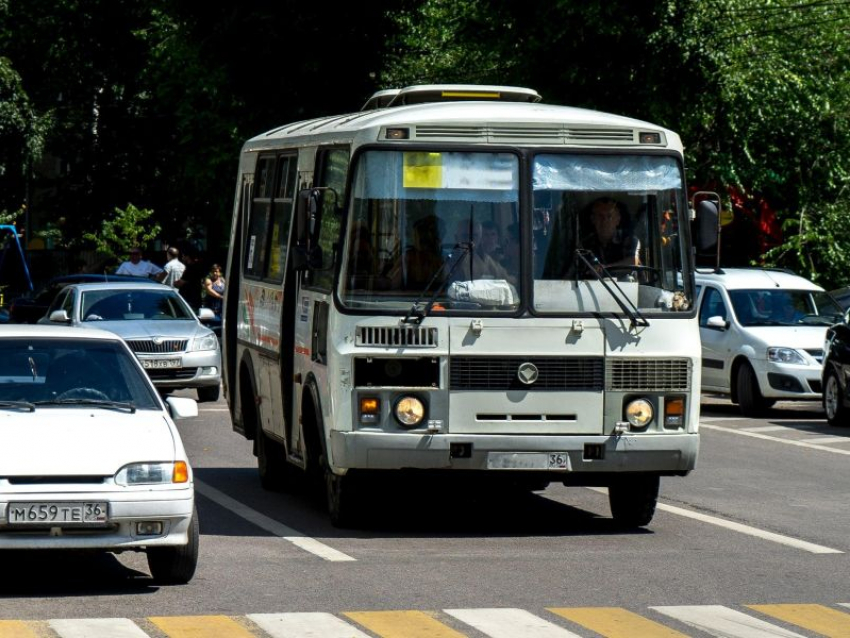 В Воронеже не будут пускать традиционные маршрутки на кладбища