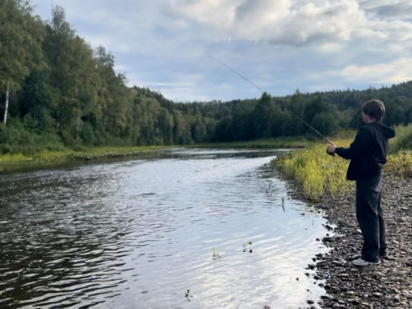 Заядлый рыбак выловил 25 судаков из Воронежского водохранилища и влетел на 82 тысячи рублей