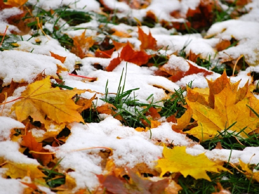 Зимнюю погоду пообещали синоптики в ноябре в Воронеже