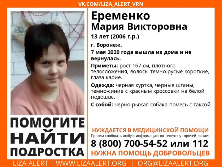 13-летняя школьница с собакой исчезла в Воронеже 