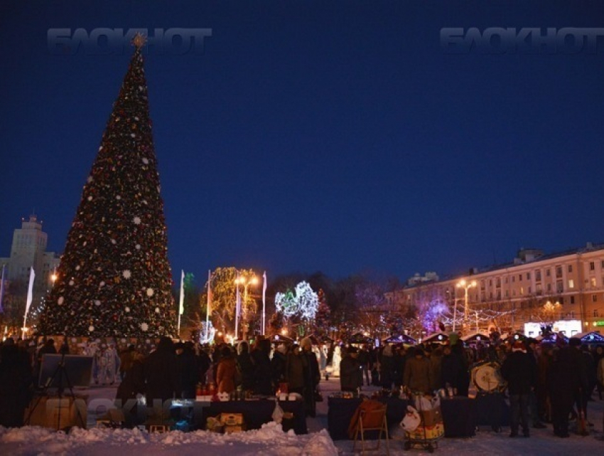 Власти Воронежа потратят на новогоднюю елку более 7 миллионов рублей