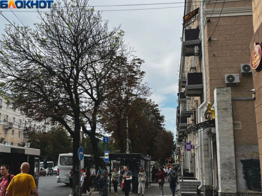 Жители Воронежской области спалились на богатстве