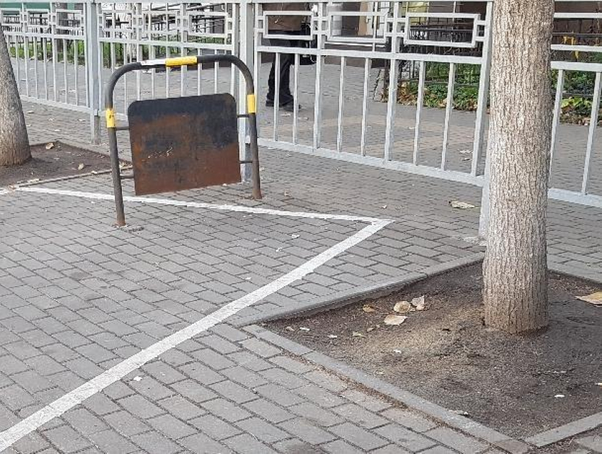 Курьез с разметкой платной парковки попал на фото в Воронеже