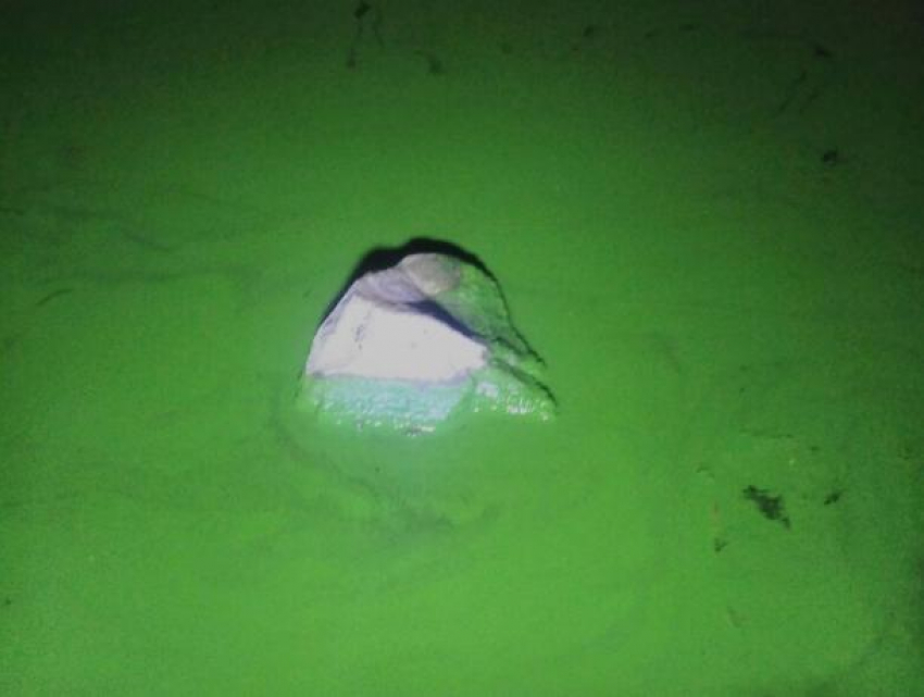Воронежцев испугал ярко-зеленый цвет воды в водохранилище