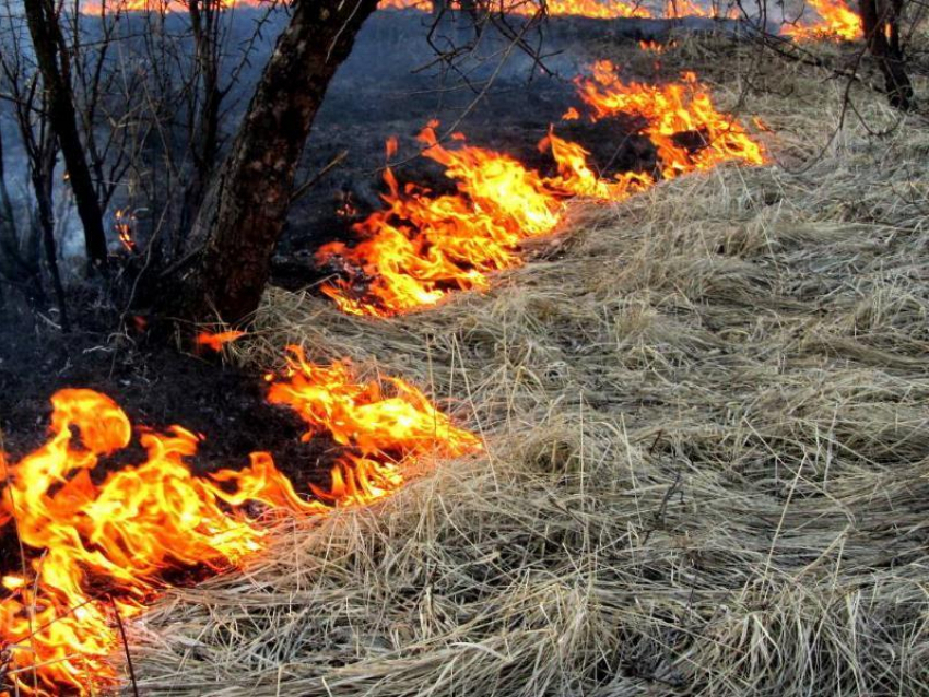 Девять районов Воронежской области находятся в чрезвычайной опасности