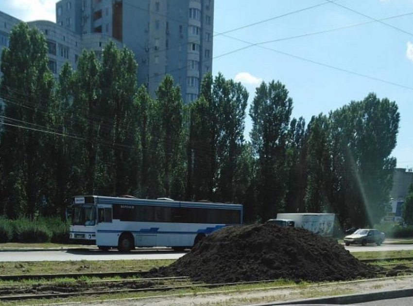 Уборку старых рельсов на Остужева мэрия Воронежа назвала «нецелесообразной»