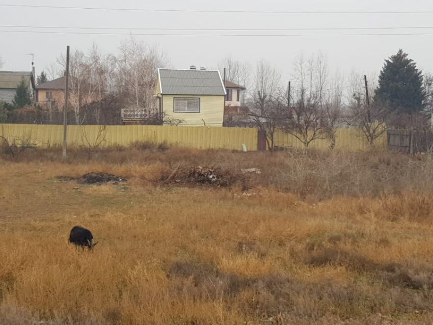 Дачные автобусы на садово-огородный сезон возобновили работу в Воронеже