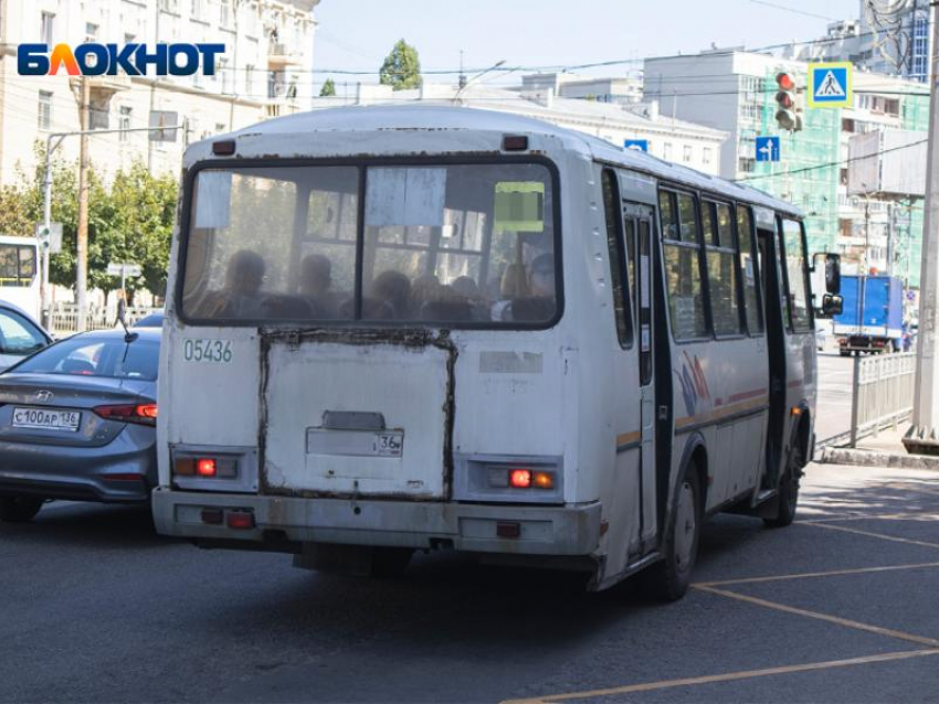 Мэрия Воронежа признала дефицит автобуса на проблемном маршруте 