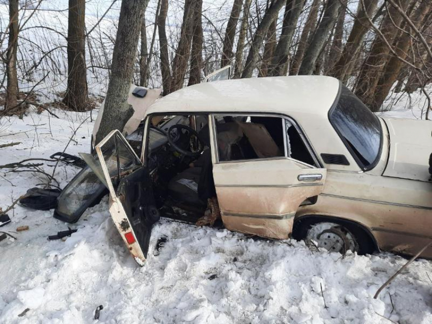 Пьяный автомобилист влетел в дерево на воронежской трассе