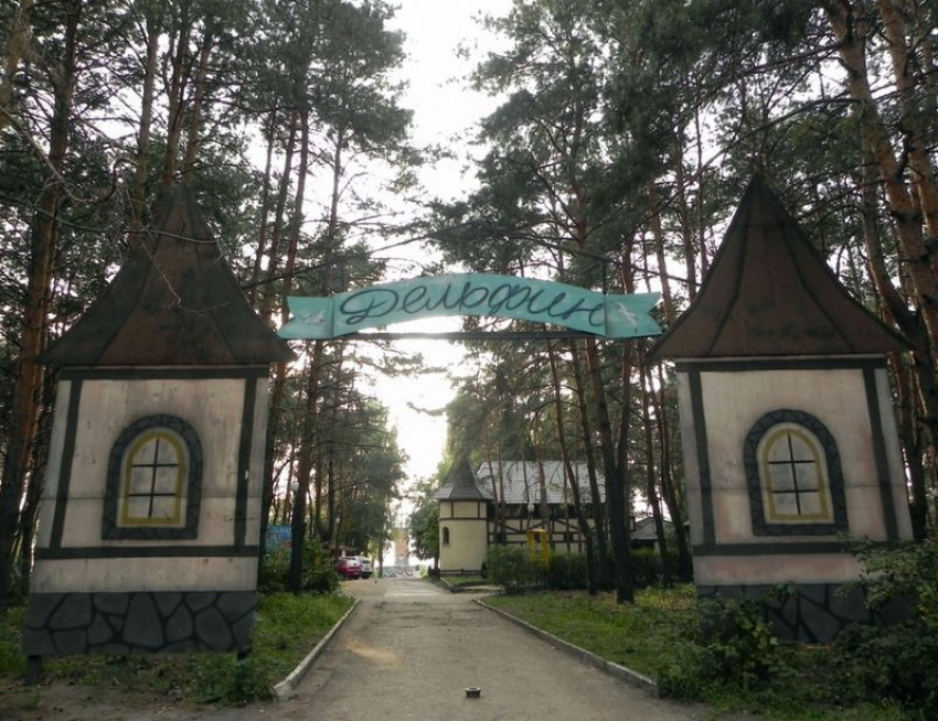 Воронежский парк «Дельфин» передали в концессию на 25 лет