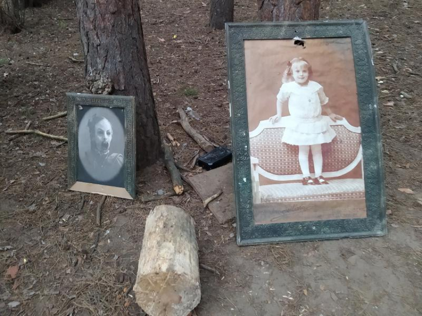 Фотографии умерших людей убрали из парка в Воронеже