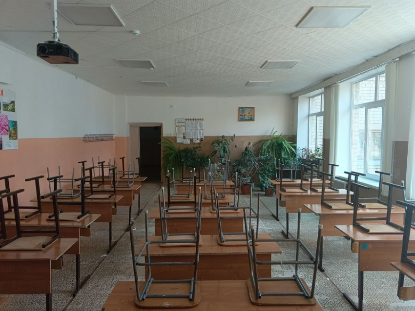 Воронежских школьников перестанут учить обществознанию в 6-7 классах 