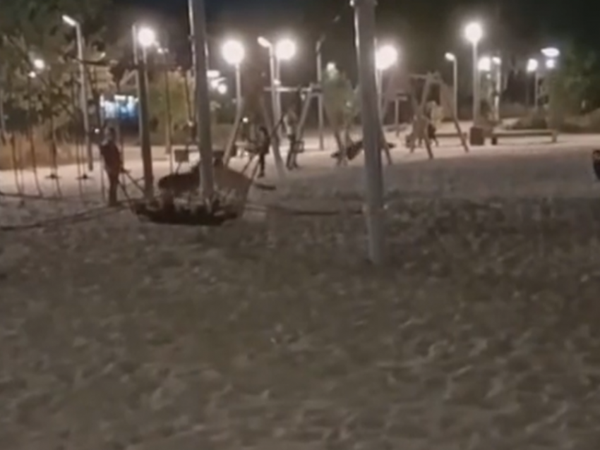 Собачьи разборки на детской площадке пугают воронежцев 