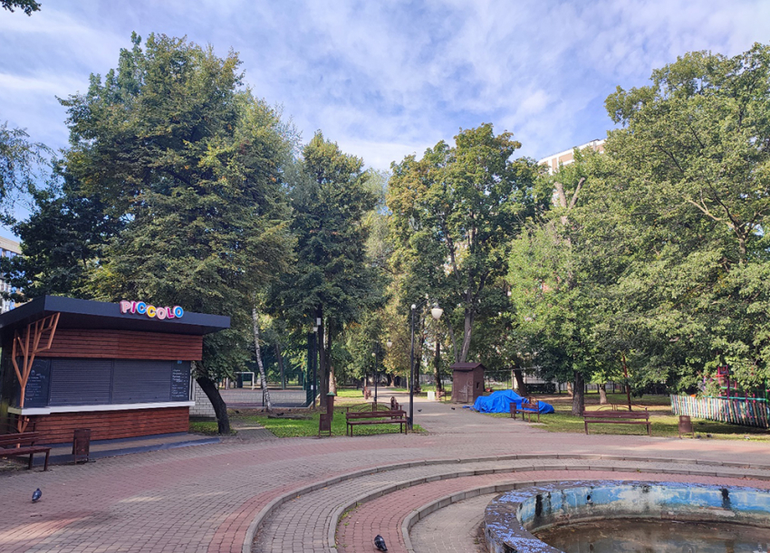 В парке Дурова мэрия уничтожит четверть больших деревьев под выборы